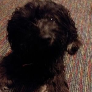 Meet your Posher, Kamaran